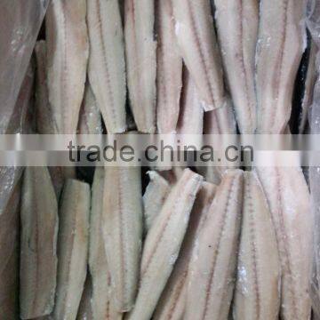 Spanish Mackerel King Fish Fillet