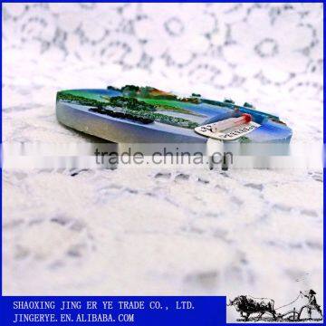 Resin Minisize Oveal Customized Fridge Magnet photo-4