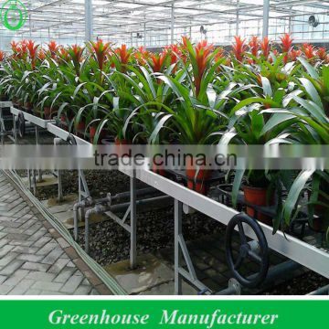 flower greenhouse for sale