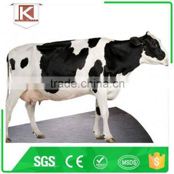 horse mat cow