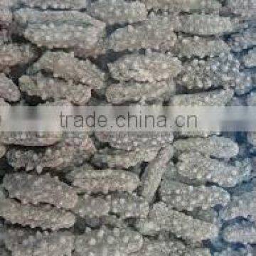 WONDERFUL PRICE DRIED SEA CUCUMBERS VIETNAM ORIGIN. photo-5