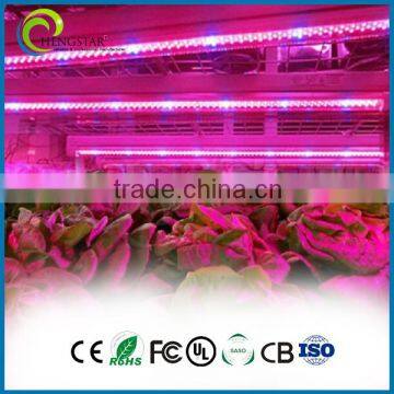 3 years warranty plant grow tube t8 for greenhouse led grow tube t8