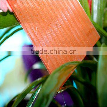Third-party Certificated Polycarbonate Greenhouse Glazing Panels With High Strength photo-6