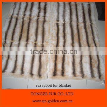 Rex Rabbit Plate Dyed Chinchilla Color