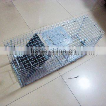 Collapsible Live Animal Hunting Trap