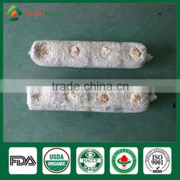 Freeze Shiitake Mushrooms,Shiitake Mushroom ,Shiitake Mushroom Cultivation photo-2