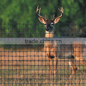 High Quality Deer Plastic Netting /temporary fence (TUOSHENG Brand )