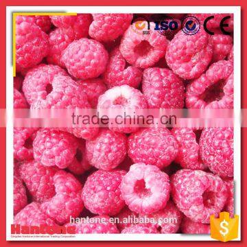 IQF Raspberry Crumble Frozen Raspberry Broken