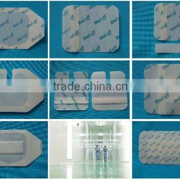 Wound dressing with frame protective dressing