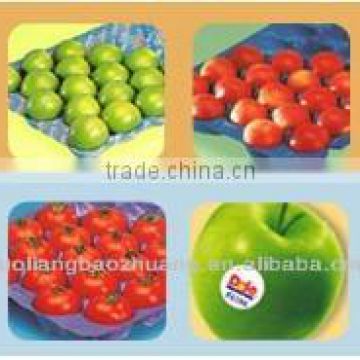 Divided Perforated Pad For Fruit &Vegetable