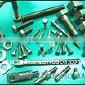 DIN Stainless Steel Special Bolts with Nuts and Washers