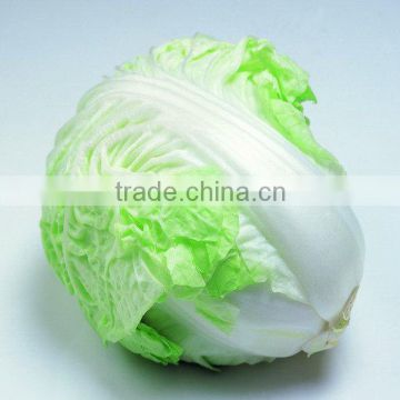 with fresh cabbage