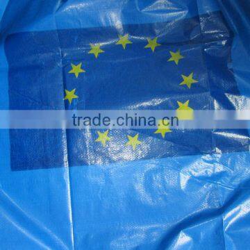 both sides Coated fabric PE Tarpaulin all weather cover