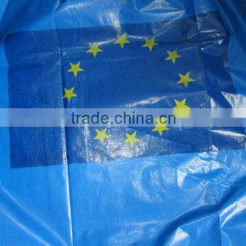 Both Sides Coated Fabric PE Tarpaulin All Weather Cover