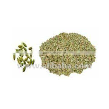 fennel seeds