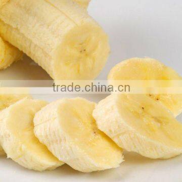 High Quality Banana Powder