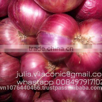 Red Onion/Scallion Best price (Viber/WhatsApp: +84979171029 /website:julia.huynh7)