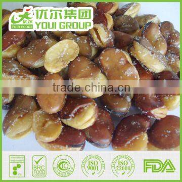 Salte Fried Fava Beans