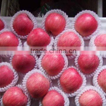 Fresh Red Delicious Apples