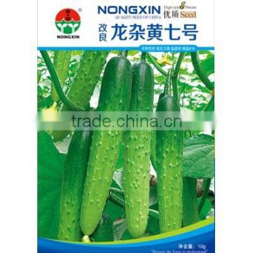 High Quality Hybrid Chinese Cucumber Seeds For Growing-Dragon NO.7