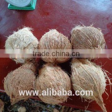 Viet Nam Semi Husk Mature Coconut photo-2