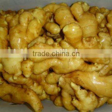 Organic Fresh Ginger photo-5