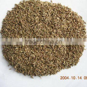 Cumin seeds