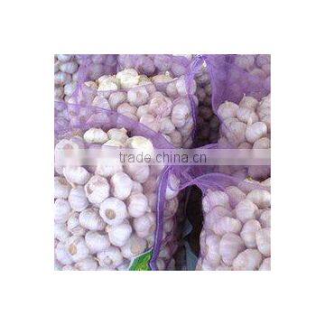 Supply Frresh Garlic in Reasnale Price