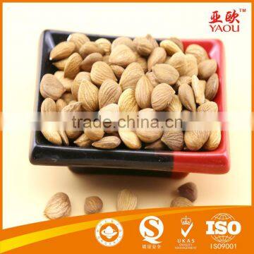 Quality apricot kernel for sale