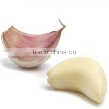 Garlic Cloves