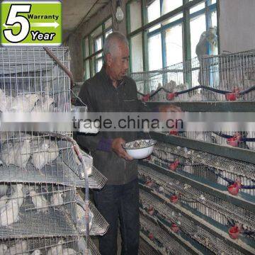 quail cage in tanzania farm