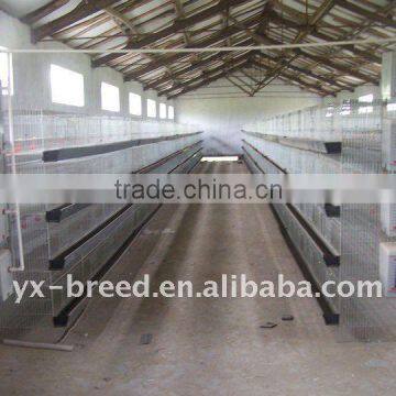 innaer design poultry chicken cage for small farm or shed manufacturer