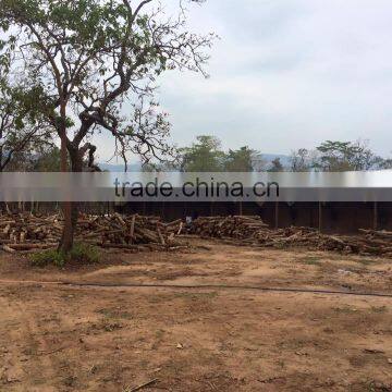 White Charcoal photo-2