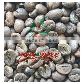 Green Coffee Bean