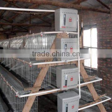 automatic chicken layer cage for sale in philippines