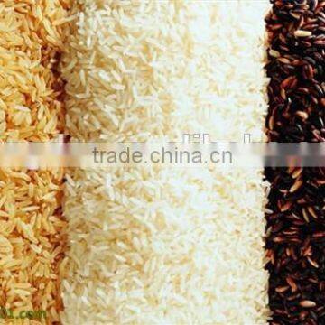 2048 Pixel Camera Rice Color Sorter With High Sorting Accuracy photo-4