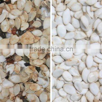Pumpkin Seeds and Sunflower Seeds Color Sorter/processing Machine With RGB CCD Camera photo-5