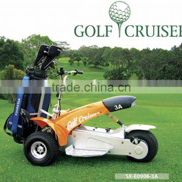 1000W UTILITY GOLF SX-E0906-6A