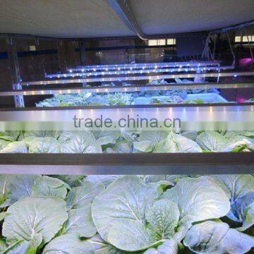 MarsHydro DC12V IP68 Full Spectrum Hydroponic Greenhouse LED Grow Light24/46/92w photo-4