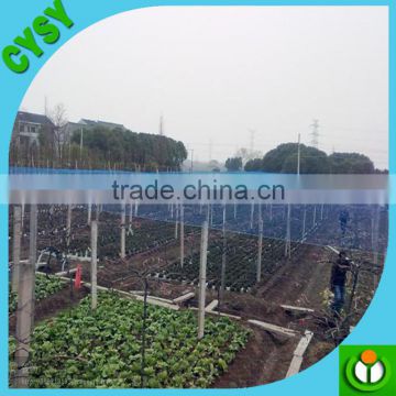 Polythene Knotless Net---Anti Bird Net