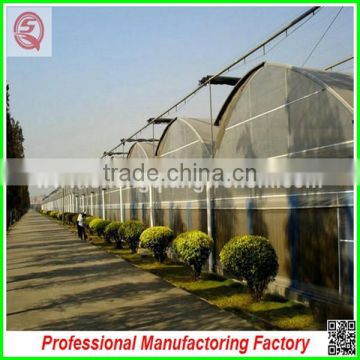 Hot sale 9.6m multi-span commerical plastic greenhouses for agriculture