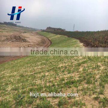 For Mountain Slope Greening Coir Fiber Mat Coir Products Coconut Blanket photo-6