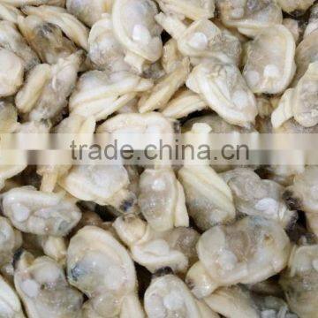 COOKED BABY CLAM MEAT