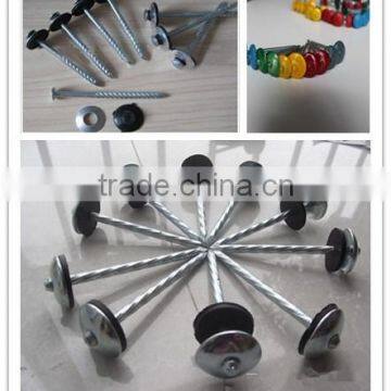 Galvanized Umbrella Head Roofing Nails With Washer photo-6