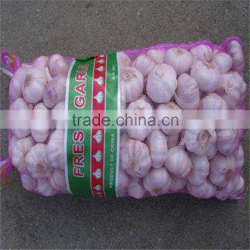 PE net mesh GARLIC packaging bags