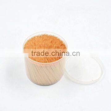 TH-055 Wholesale Plasitc Big Bootle Wrappped Disposable Toothpick in Bulk photo-6