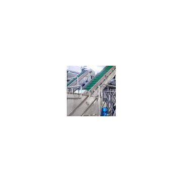Large Capacity Clapboard Elevating Conveyor Commercial Food Processing Equipment for Vegetable