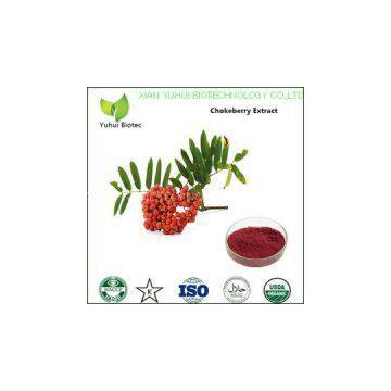 aronia melanocarpa extract,aronia melanocarpa,chokeberry p.e.,choke berry extract