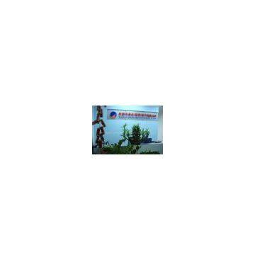 dongguan amazing electronic co.,ltd