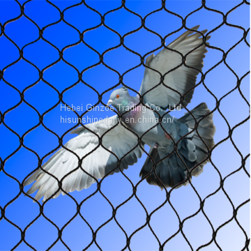 Anti Bird Netting Poultry Fencing Bird Barricade Netting